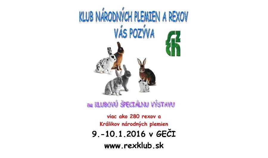 Országos Rex klub Nyúlkiállítás Szlovákiában!